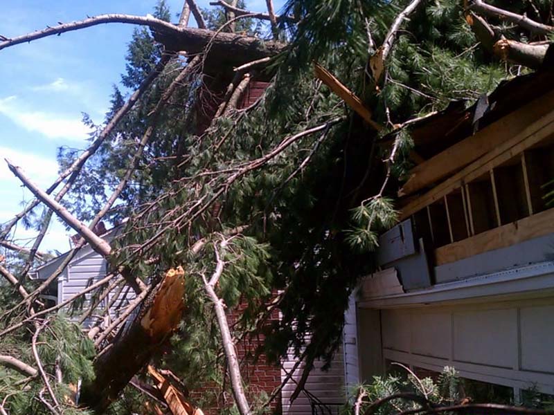 Storm Damage & Emergency Tree Services