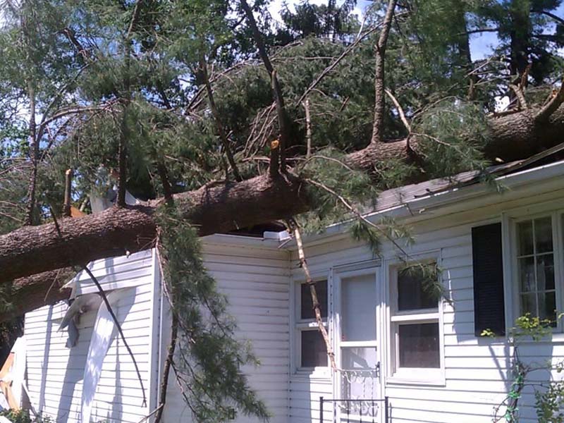 Full Service Emergency Tree Removal